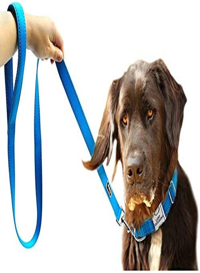 Skora Dog Collar & Leash(Small, Blue) - Image 4